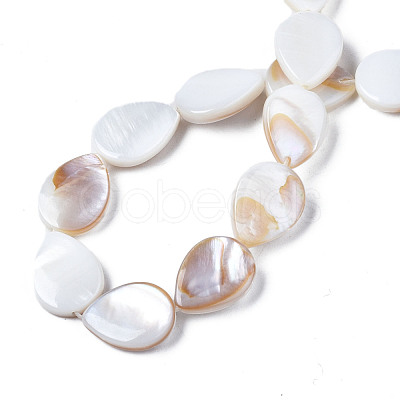 Natural Freshwater Shell Beads Strands SHEL-S278-068-1