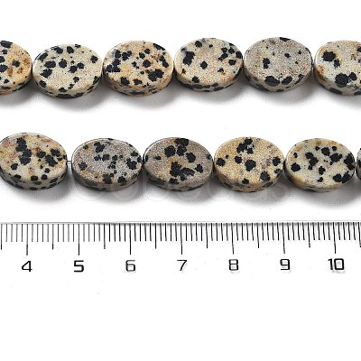 Natural Dalmatian Jasper Beads Strands G-P559-B08-01-1