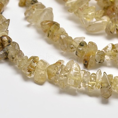 Chip Natural Gold Rutilated Quartz Beads Strands G-N0134-29-1