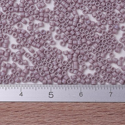 MIYUKI Delica Beads Small X-SEED-J020-DBS0875-1