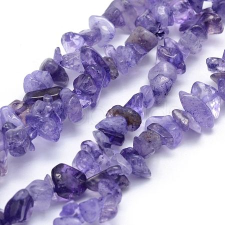 Natural Amethyst Beads Strands G-P332-06-1