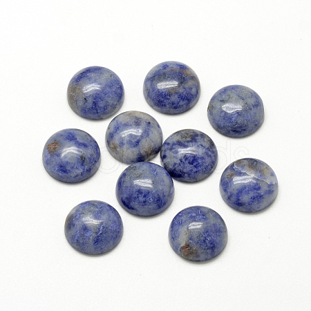 Natural Blue Spot Jasper Cabochons G-R416-8mm-45-1