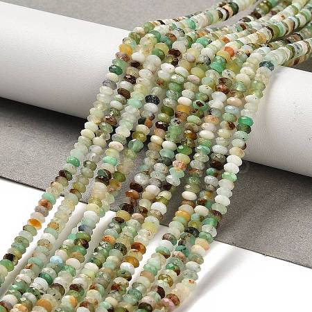 Natural Serpentine Beads Strands G-B107-D05-02-1