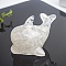 Resin Dolphin Display Decoration, with Natural Quartz Crystal Chips inside Statues for Home Office Decorations, 90x56x62mm