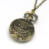 Halloween Jewelry Gifts Alloy Flat Round with Owl Pendant Necklace Quartz Pocket Watch X-WACH-N011-40-2