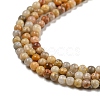 Natural Crazy Lace Agate Bead Strands G-A130-2mm-K10-2