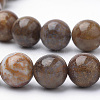 Natural Petrified Wood Beads Strands X-G-Q462-136-8mm-3