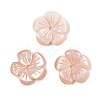 Natural Pink Shell Carved Beads SSHEL-I026-12B-02-1