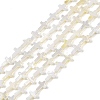 Natural Freshwater Shell Beads Strands BSHE-G036-05A-1