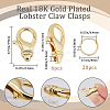 Beebeecraft 6Pcs Brass Lobster Claw Clasps DIY-BBC0001-54-2