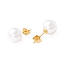 6 Pair Shell Pearl Round Ball Stud Earrings EJEW-A067-18A-G-4