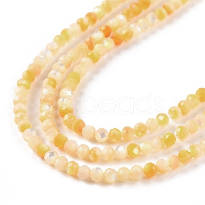 Natural Yellow Shell Beads Strands BSHE-G036-09B-1