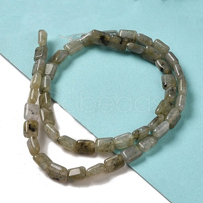 Natural Labradorite Beads Strands G-G085-A25-01-1