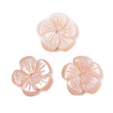 Natural Pink Shell Carved Beads SSHEL-I026-12B-02-1