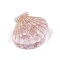 Cellulose Acetate Claw Hair Clips, Hair Accessories for Women & Girls, Shell, BurlyWood, 52x43mm