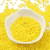 Baking Paint Glass Seed Beads X-SEED-S042-05B-81-2