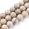 Natural Maifanite/Maifan Stone Beads Strands X-G-I187-8mm-01-4