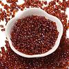 Spray Painted Glass Seed Beads SEED-F005-05A-04-2