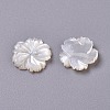 Natural White Shell Mother of Pearl Shell Cabochons SSHEL-L013-07-2