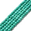 Dyed & Heated Natural Magnesite Beads Strands G-G924-01A-03-1