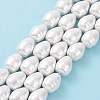 Shell Pearl Beads Strands BSHE-F013-11A-2