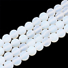 Opalite Beads Strands G-T106-337-1