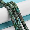 Natural African Turquoise(Jasper) Beads Strands G-Q1008-A09-4