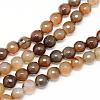 Natural Agate Bead Strands G-R346-12mm-24-1