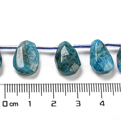 Natural Apatite Beads Strands G-Z040-A07-01-1