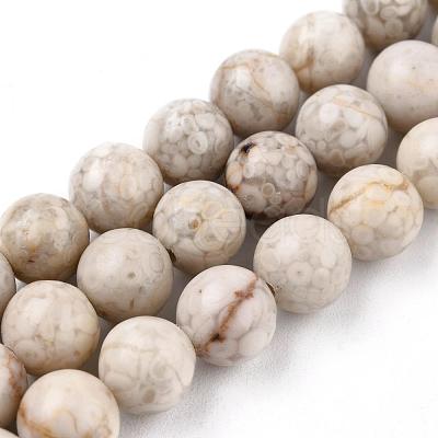 Natural Maifanite/Maifan Stone Beads Strands X-G-I187-8mm-01-1