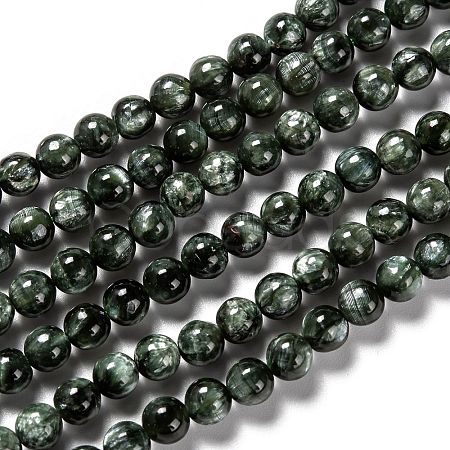 Natural Seraphinite Beads Strands G-E557-22A-1