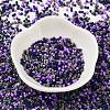 Baking Paint Glass Seed Beads X-SEED-S042-05B-54-2