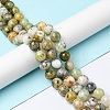 Natural Green Opal Beads Strands G-C029-02B-2
