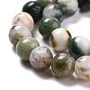 Natural Tree Agate Beads Strands G-I199-03-8mm-2