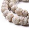 Natural Maifanite/Maifan Stone Beads Strands X-G-I187-8mm-01-6