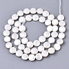 Natural Freshwater Shell Beads Strands X-SHEL-N026-50A-01-2