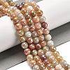 Electroplated Natural Golden Silk Jade Round Beads Strands G-L598-A07-02-2