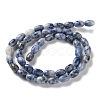 Natural Blue Spot Jasper Beads Strands G-I369-B01-01-3