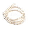 Electroplated Natural Freshwater Shell Beads Strands BSHE-G036-23-2