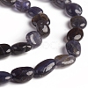 Natural Iolite Beads Strands X-G-D0002-D74-3