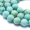 Natural Peruvian Turquoise(Jasper) Beads Strands G-E561-11-8mm-AA-3