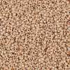 TOHO Round Seed Beads SEED-TR11-0751-2