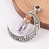 Moon Antique Silver Alloy European Dangle Charms PALLOY-JF00153-03-2