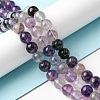 Natural Fluorite Beads Strands G-E598-02B-4