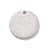 Non-Tarnish 304 Stainless Steel Pendants STAS-E169-05P-2