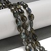 Natural Labradorite Beads Strands G-P544-D06-01-2