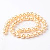 Round Wrinkled Shell Pearl Bead Strands BSHE-E006-8mm-M-3