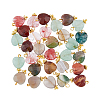 DICOSMETIC 30Pcs 5 Styles Natural & Synthetic Gemstone Charms FIND-DC0002-31-1