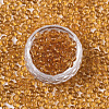 Transparent Glass Beads SEED-S040-09A-09-2