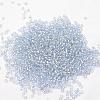 6/0 Transparent Glass Round Seed Beads X-SEED-J010-F6-32-2